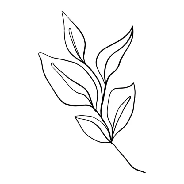 Planta minimalista. Ramo de folha de arte contínua único. Eco conceito de design natural, uma linha, desenho de contorno, ilustração vetorial . — Vetor de Stock