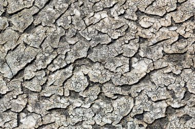 Güneş bir siyah polimer kaplama üzerinde çatlaklar. Uygun bir arka plan veya doku, duvar kağıdı olarak.