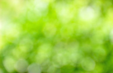 Bokeh ile soyut bulanık yeşil ağaç arka plan