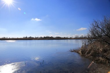 Geç sonbaharda, parlak güneşli bir günde ağaçları ile zaten uçtu yaprakları etrafında ve banka Nehri boyunca kuru sarı, kurutulmuş kamışı