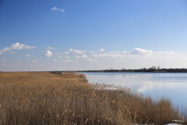 Geç sonbaharda, parlak güneşli bir günde ağaçları ile zaten uçtu yaprakları etrafında ve banka Nehri boyunca kuru sarı, kurutulmuş kamışı