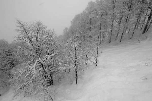 Schwarz Weiß Fotografien Von Skipisten Und Liften Winter Die Schneebedeckten — Stockfoto