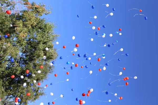 Multi Colored Balloons Released Free Flight — Stock Photo, Image