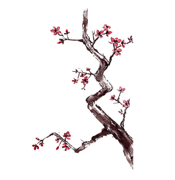 decorative traditional watercolor japanese flowering cherry tree branch isolated on white background with clipping path