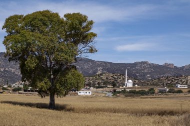 Turnalar köy içinde Kuzey Kıbrıs Türk Cumhuriyeti (KKTC Camii).