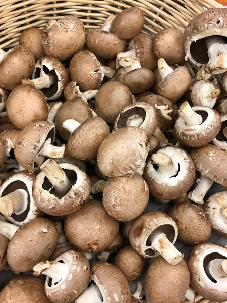一篮子新鲜采摘的蘑菇 — 图库照片