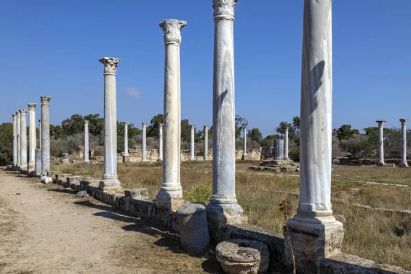 Ruins Salamis Turksh Republic Northern Cyprus Trnc Roman Ruins Date — Stock Photo, Image