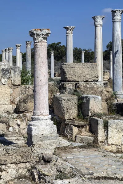 Las Ruinas Salamis República Turca Del Norte Chipre Trnc Estas —  Fotos de Stock