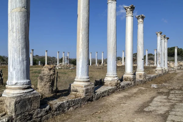 Ruins Salamis Turksh Republic Northern Cyprus Trnc Roman Ruins Date — Stock Photo, Image