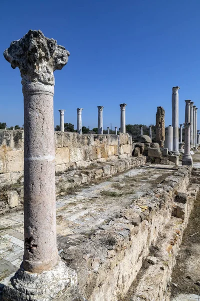 Ruins Salamis Turksh Republic Northern Cyprus Trnc Roman Ruins Date — Stock Photo, Image