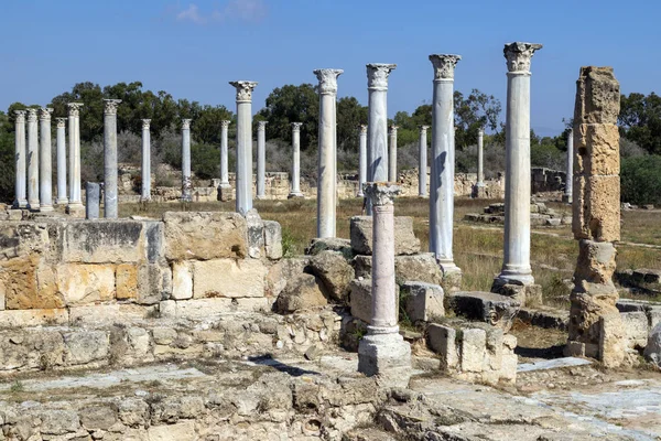 Die Ruinen Der Salamis Der Türkischen Republik Nordzypern Trnc Diese — Stockfoto