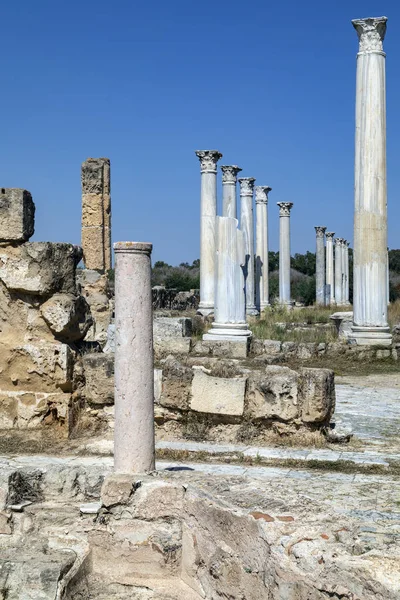サラミス島で Turksh 共和国北キプロス 北キプロス の遺跡 これらのローマ時代の遺跡は 31Bc の周りからを日付します — ストック写真