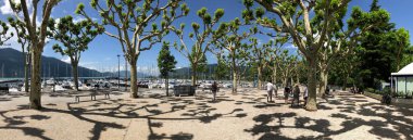 Aix les Bains. Fransa. 06.11.18. ağaç Boulevard Du Lac adlı şehri Aix les Bains Auvergne-Rhône-Alpes bölgesi Güney-Doğu Fransa Grand limanda kaplı. Lake Bourget (Lac du Bourget veya Lac d AIX Doğu kıyısında).