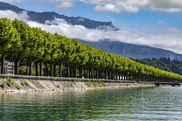 Árbol Bordeó Boulevard Lac Gran Puerto Ciudad Aix Les Bains — Foto de Stock