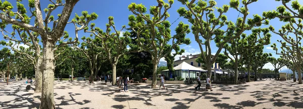 Aix Les Bains Francia Árbol Bordeó Boulevard Lac Gran Puerto —  Fotos de Stock