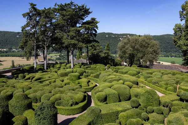 Topiary Tuinen Van Jardins Marqueyssac Dordogne Regio Frankrijk — Stockfoto