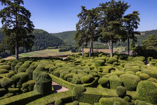 Topiary Tuinen Van Jardins Marqueyssac Dordogne Regio Frankrijk — Stockfoto