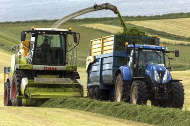 Tarım - ot silaj için toplama. Ensilage için en sık kullanılan sıradan ot, yonca, yonca, vetches, yulaf, çavdar ve Mısır ürünleridir. Kuzey İrlanda. Haziran 2016.