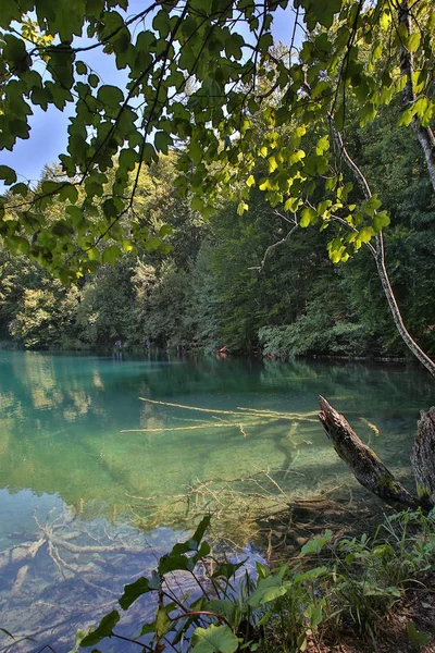 Національного Парку Плітвіцькі Озера Хорватія Національний Парк Було Засновано 1949 — стокове фото