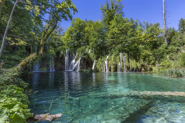 プリトヴィツェ湖群国立公園 クロアチア 国立公園は 1949 年に設立され 中央クロアチア ボスニア ヘルツェゴビナとの国境でのカルスト山岳地域に位置しています 国立公園は その湖の世界的に有名 — ストック写真