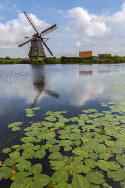 Bir doğal Hollanda, 19 yel değirmeni. Yaklaşık 1740 inşa yel değirmenleri Hollanda en büyük konsantrasyonu bu. UNESCO Dünya Miras Listesi