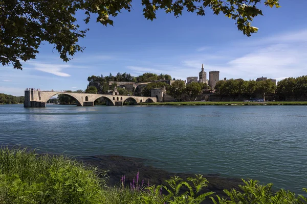 Den Staden Avignon Departementet Vaucluse Vänstra Stranden Floden Rhône Frankrike — Stockfoto