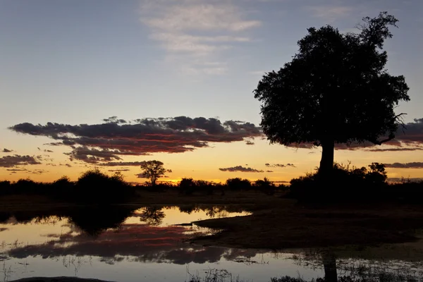 Pôr Sol Região Savuti Botsuana — Fotografia de Stock