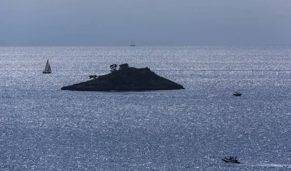 プレジャー ボートとクロアチアのイストリア半島の海岸の沖の小さな島 — ストック写真