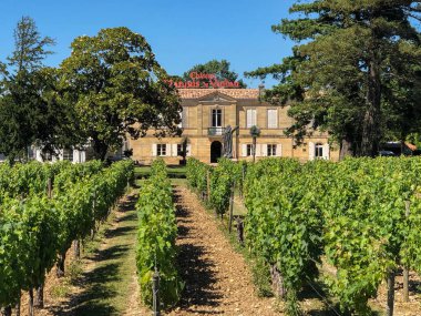 Vineyards at Chateau Marquis de Vaban near the town of Blaye in Nouvelle-Aquitaine region of southwest France. clipart