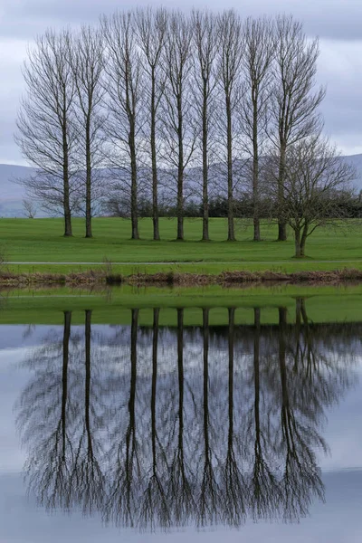 Δέντρα Μια Λίμνη Στην Κούμπρια Αγγλία — Φωτογραφία Αρχείου