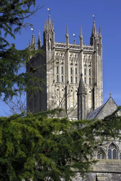 Catedral Wells Vista Dos Terrenos Palácio Episcopal Cidade Wells Somerset — Fotografia de Stock