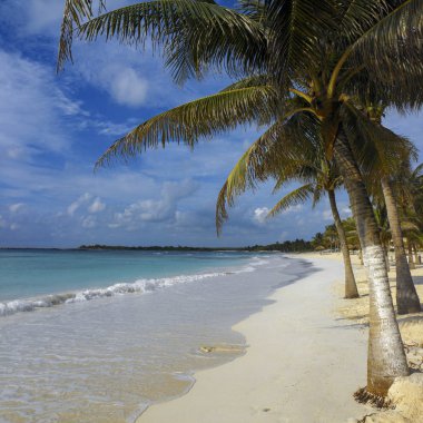 Cancun Yucatan Yarımadası Meksika kumsalda.