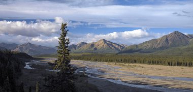 Denali Milli Parkı - Alaska - Amerika Birleşik Devletleri