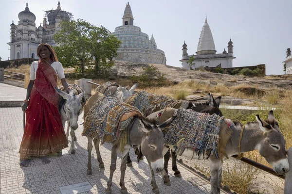 印度妇女与驴-sonagiri-印度 — 图库照片