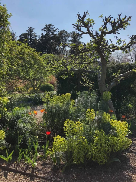 Jardín en Yorkshire del Norte - Inglaterra —  Fotos de Stock