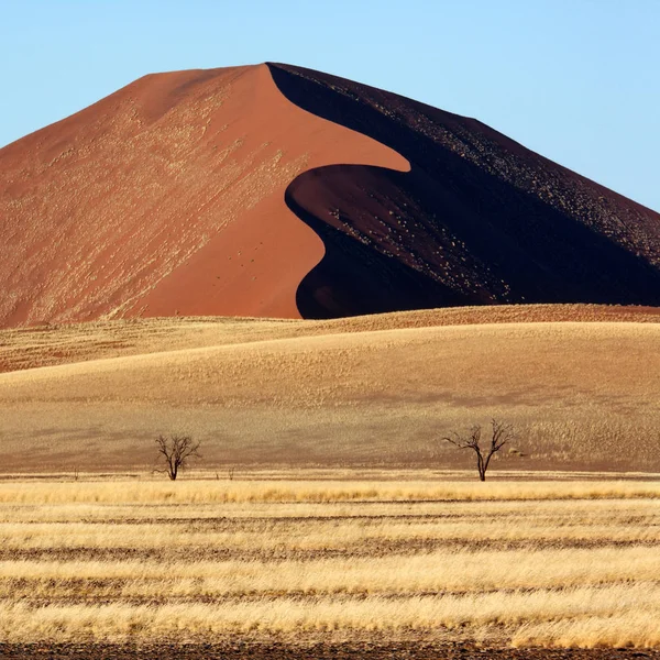 Homok dűne a Sossusvlei-Namíb sivatag-Namíbia — Stock Fotó