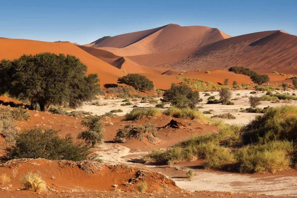 Homokdűnék a Sossusvlie-Namib Desert-Namíbia — Stock Fotó