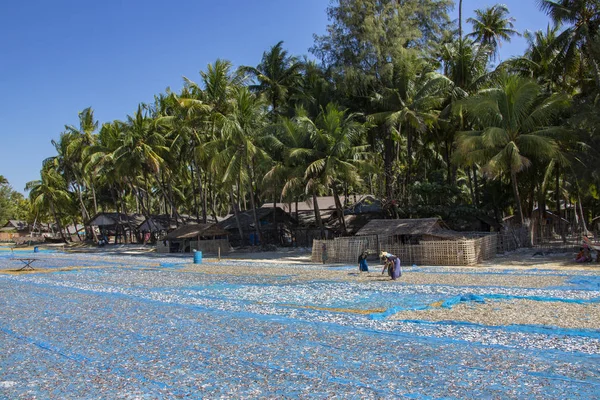 Utspridning av fisk till torr-Ngapali Beach-Myanmar — Stockfoto