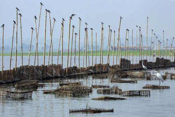 Diga di pesca e trappole per pesci nel lago Taungthaman - Myanmar — Foto Stock