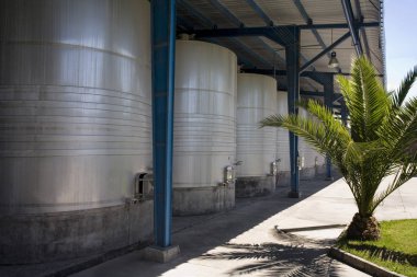 Şili şarabı üreten şaraphane - Colchagua Vadisi - Şili