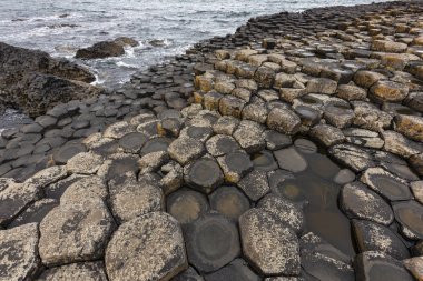  Devler Causeway - County Antrim - Kuzey İrlanda
