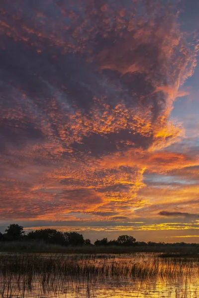 Coucher de soleil dans le delta de l'Okavango - Botswana — Photo