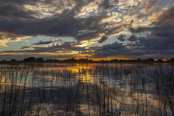 Sunset in the wetlands of the Okavango Delta - Botswana — Stock Photo, Image