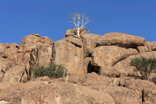 Damaraland - Namibië - Afrika — Stockfoto