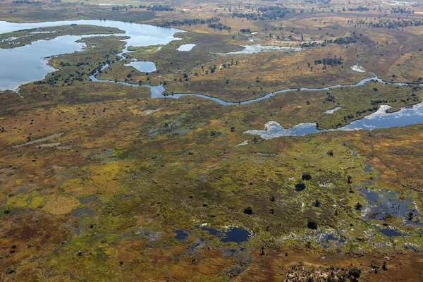 Vista aérea - Delta del Okavango - Botswana - África —  Fotos de Stock