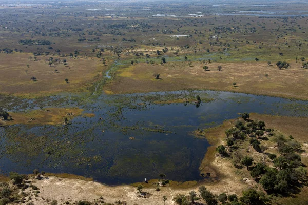 Hava manzarası - Okavango Delta - Botswana - Afrika — Stok fotoğraf