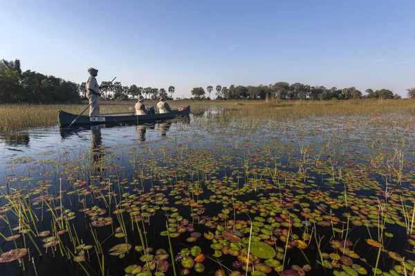 Safari guide with a tourists - Okavango Delta - Botswana — Stock Photo, Image