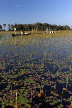 Okavango delta - Botsvana