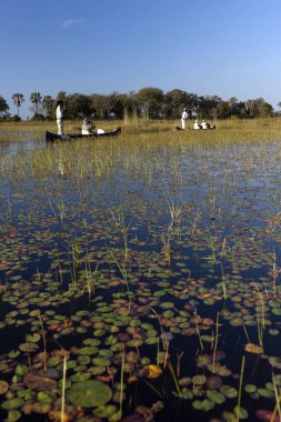 Okavango Delta - Botswana clipart