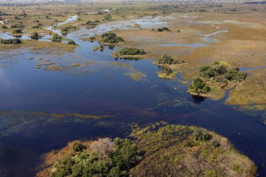 Hava Görünümü - Okavango Delta - Botswana